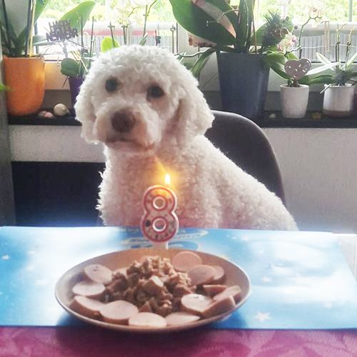 Sheyla geburtstag
